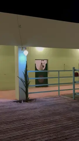 #شنان الميدان الله يبارك #القاعد #محمية القحويان #حايل 