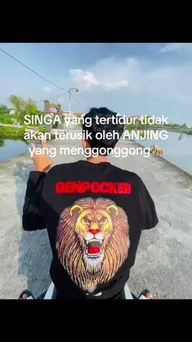Konsisten SINGO mongop🦁 #genpockerujungpangkah #genpockerlamongan #genpockergresik #genpocker #genpockerwedeng #genpockerindonesia #genpockerpusat 