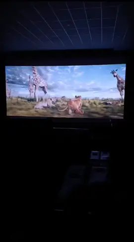 CARA EU AMEI ESSE FILMEEE, QUE PERFEIÇÃO 😭👌#mufasa#reileaofilme #cinema