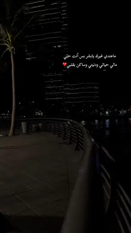 أريد امان رجعني أريد حبك زمان مكاني قلبك وانا احب هالمكان🎵🥹  #أصاله_نصري♥️🎤 #نصرت_البدر #اريد_امان_ارجعلي_حبك_زمان #اغاني_عراقيه  #جدهہ