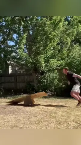 Dogs playing with their owners #fyp #funny #funnyanimals #foryou #dogs #dogsoftiktok #PetsOfTikTok #pet #funnydog #funnypets 