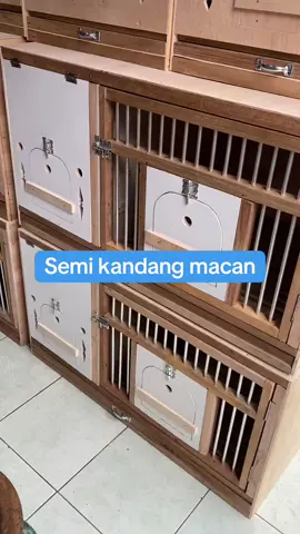 Semi kandang macan. Bisa untuk ternak merpati. Ada 2 sisi kandang. Sisi kanan dan kiri. Harga 350k. Lokasi Pasar Burung Sukahaji Bandung.  WA 0812-2342-722  #pasarbandung #pasarburungsukahajibandung #kangdang #kandangburung #merpati #merpatikolong #merpatilovers #merpatikolongbebas #merpatibalapindonesia 