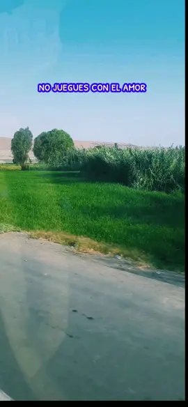 No juegues con el amor..❤ #Cumbia#agrupaciónfuriaazul💙💙💙 