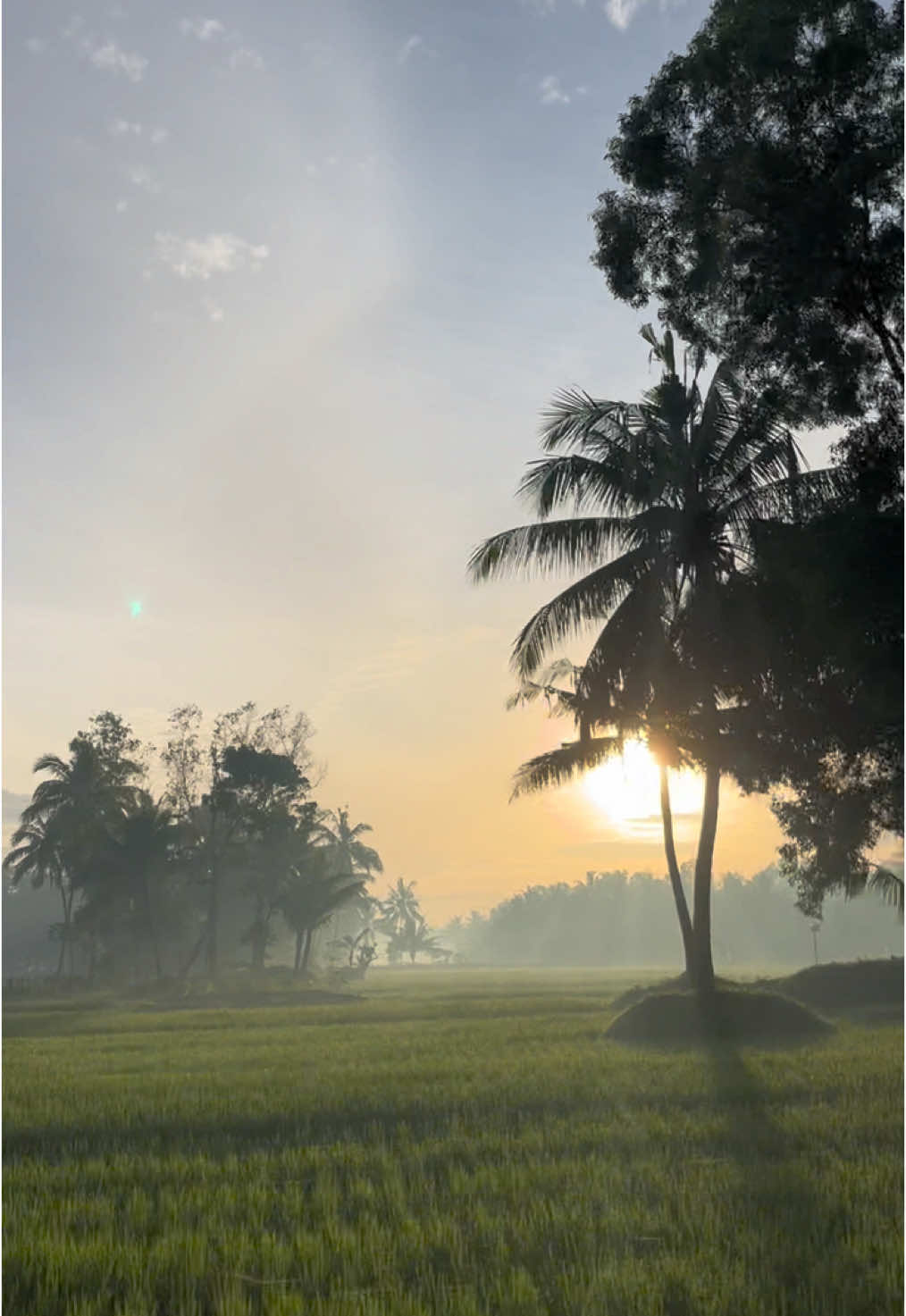 Morning at Pantai Widarapayung Cilacap💗✨ #cilacap #pantai #widarapayung #pantaicilacap #pantaiwidarapayung #morningvibes #viral #fyp #sunmori #fyppppppppppppppppppppppp #fypage #fypシ #purwokerto #cilacapngapak #fypシ゚viral🖤tiktok #beranda #goodvibes 