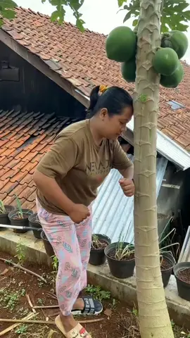 fyp #trending lewat beranda#