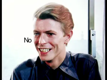 #davidbowie #rocknroll #70s #glamrock #ziggystardust 