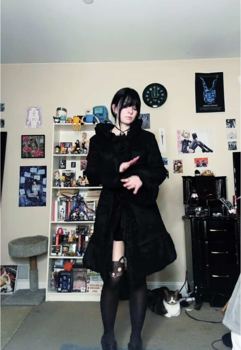 #bringbackcattights #renaicirculation #cats #tb #anime 