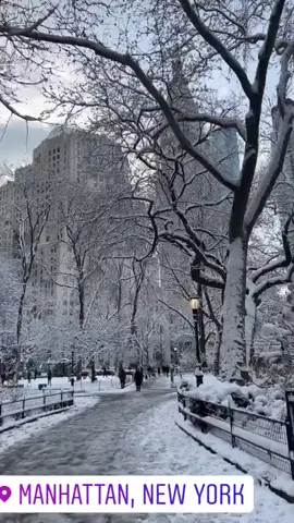 #manhattan #nyc #newyork #winter #snow #amazing #beauty #2025 #january 
