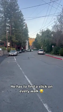 The ending 😂 @I Can’t Even (via:@pup.o.joe) 
