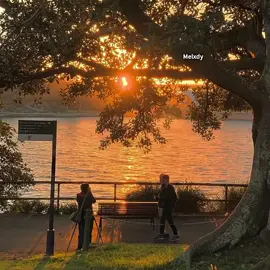 ดาวหางฮัลเลย์ // Fellow Fellow #ดาวหางฮัลเลย์ #fellowfellow #lyrics #melxdy #foryou #fyp 