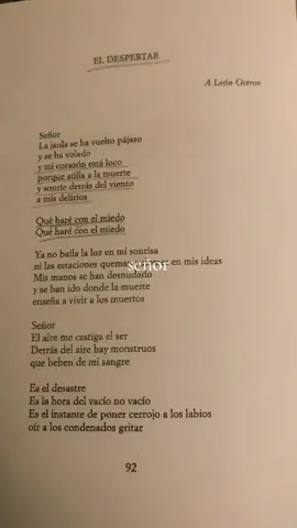 #pizarnik #pizarnikpoemas #poesia #poesiacompletapizarnik #parati