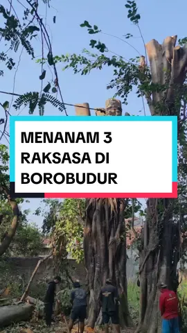 Agro Tani Sejahtera adalah perusahaan agribisnis terkemuka di Indonesia yang bergerak di bidang penjualan tanaman hias, pohon penghijauan, pohon buah, dan jasa pertamanan profesional.  Berlokasi di Kediri, Jawa Timur, kami menawarkan ribuan jenis tanaman berkualitas dengan harga kompetitif. Mari bersama tingkatkan kesadaran masyarakat akan pentingnya penghijauan. #agrotanisejahtera #pohon #penghijauan #taman #pohonbuah #jasatanam #jasataman #hutan #agribisnis 