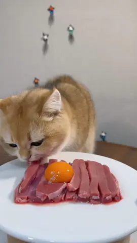Happy meal, Cats muckbang  #PetsOfTikTok #CutePets #PetLovers #CatLovers #Hamster #AdorableAnimals #PetFeeding #PetVideos #muckbang #catsmuckbang #cateating #asmr #amsreating #catfeeding #satisfying #catsoftiktok #catvideo #catseating #cat #catfood #cutecat #diningkitty #cateatingasmr #kittyfood #ASMR #cateatingsound #cutekitten #mukbang #eatingshow #eating #petmukbang #catlover #eatingasmr #asmrsounds #kitty #paws #catpaws #petsypaws 
