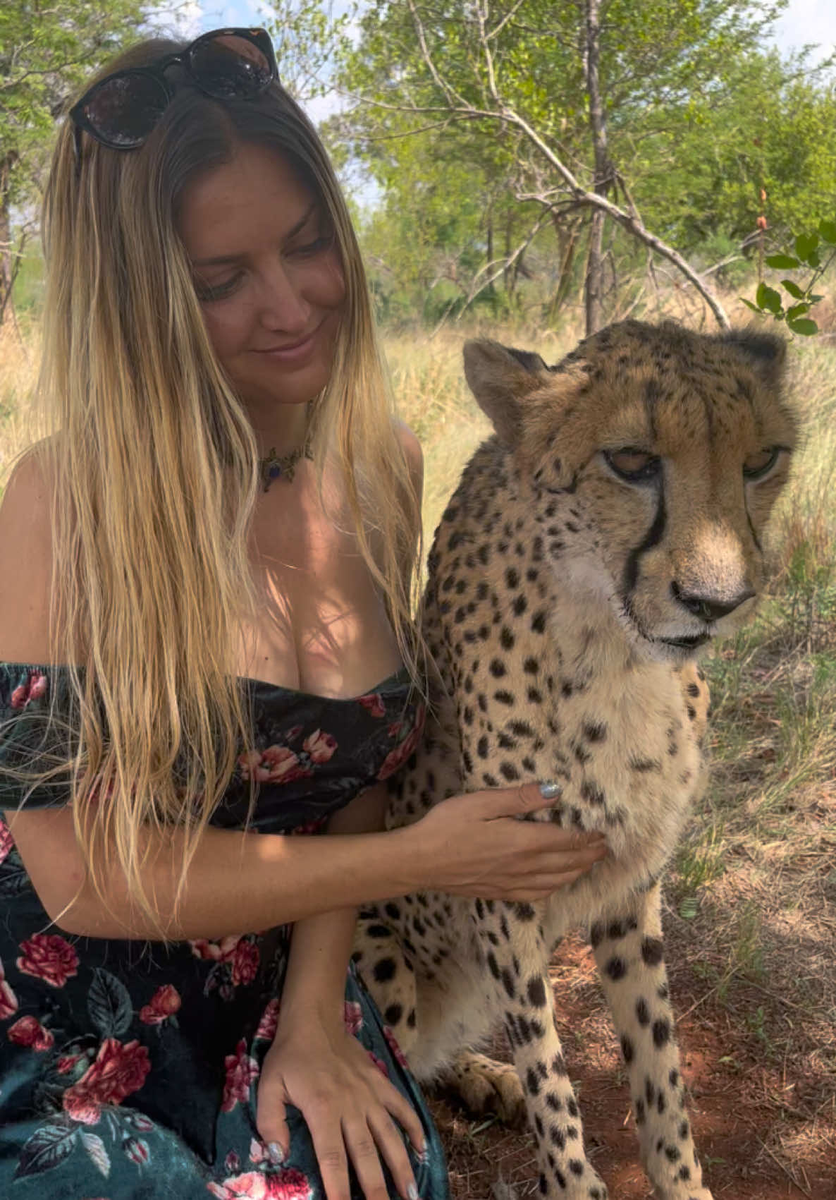 Love & Purrs ❤️🐆 #cheetah #cheetahpurr #fyp 