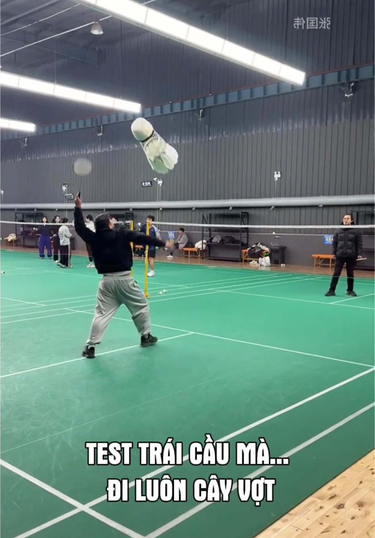 Cầm Trái Cầu Là Nghi Nghi Rồi 😏 #yeucaulong #votcaulong #vợt_cầu_lông #votcaulongyonex #votcaulonglining #votcaulongvictor #votcaulongcarbon #votcaulongguangyu #cầulông🏸 #cầulông #caulong #badminton #badmintonskills #votcaulonggiare #caulongthegioi #caulongvietnam #votcaulongchinhhang 