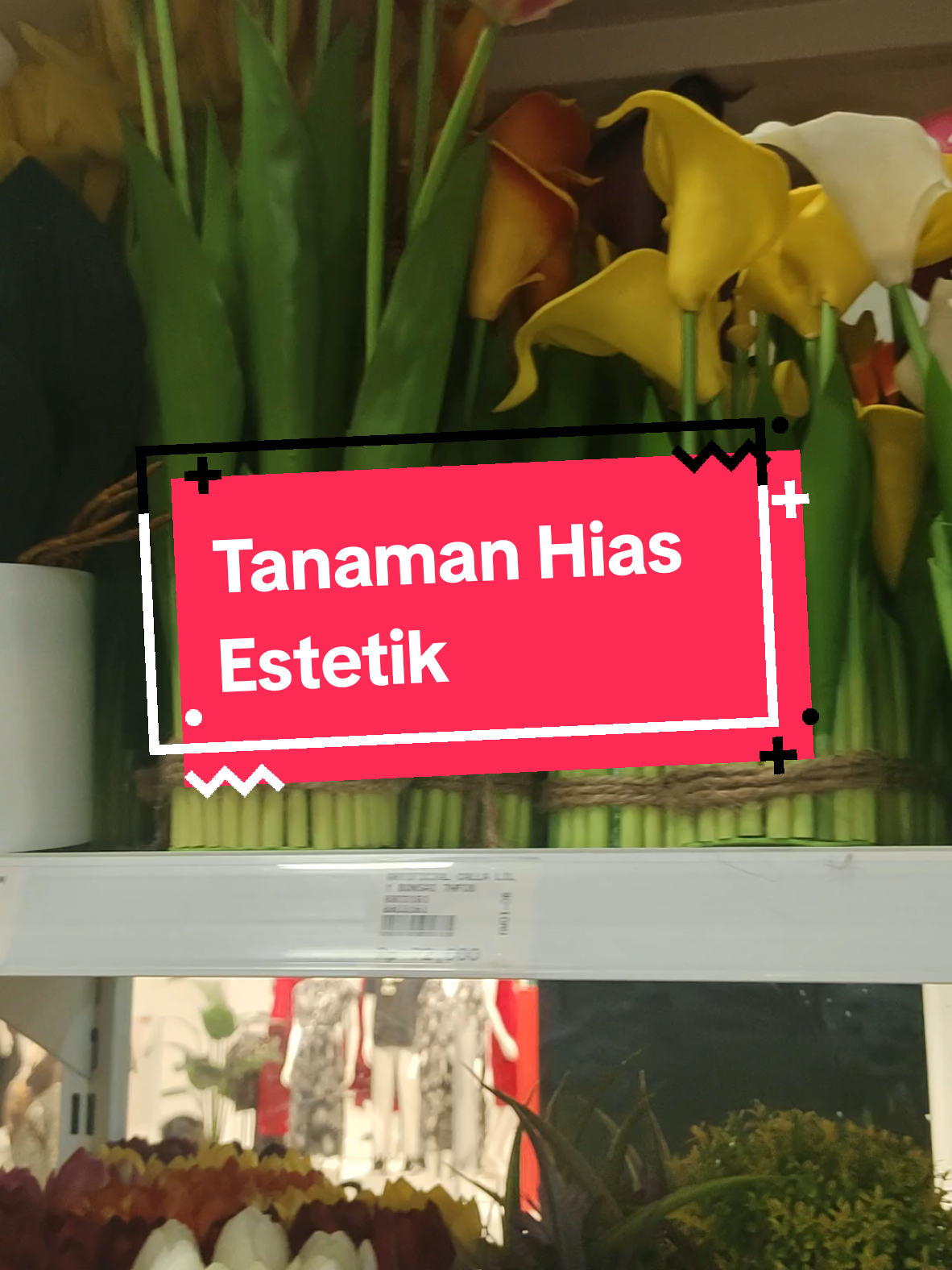 Tanaman Hias Plastik Tanaman Hias #TanamanHiasViral  #tanamanhias #Fyp 