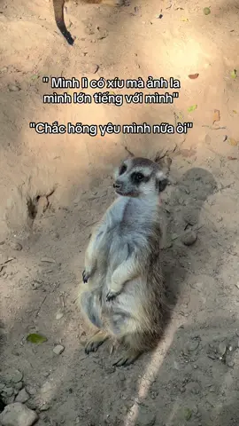 Anhhhh hõng thương emm #anh #banthan #funny #fypシ #tiktok #xh #VinWondersPhuQuoc #Vcreator #SafariPhuQuoc #GrandWorldPhuQuoc #WakeupFestival #trending 
