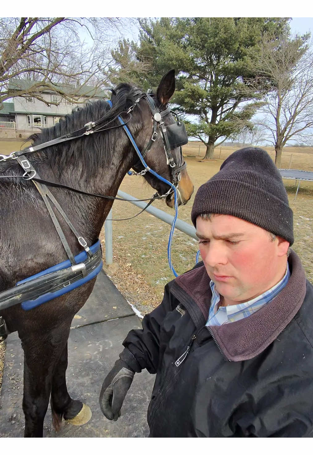 Fine Amish famliy #huzz#rizz#sugma#skibidi#alpha#raybanmeta#brainrot#freakbob 