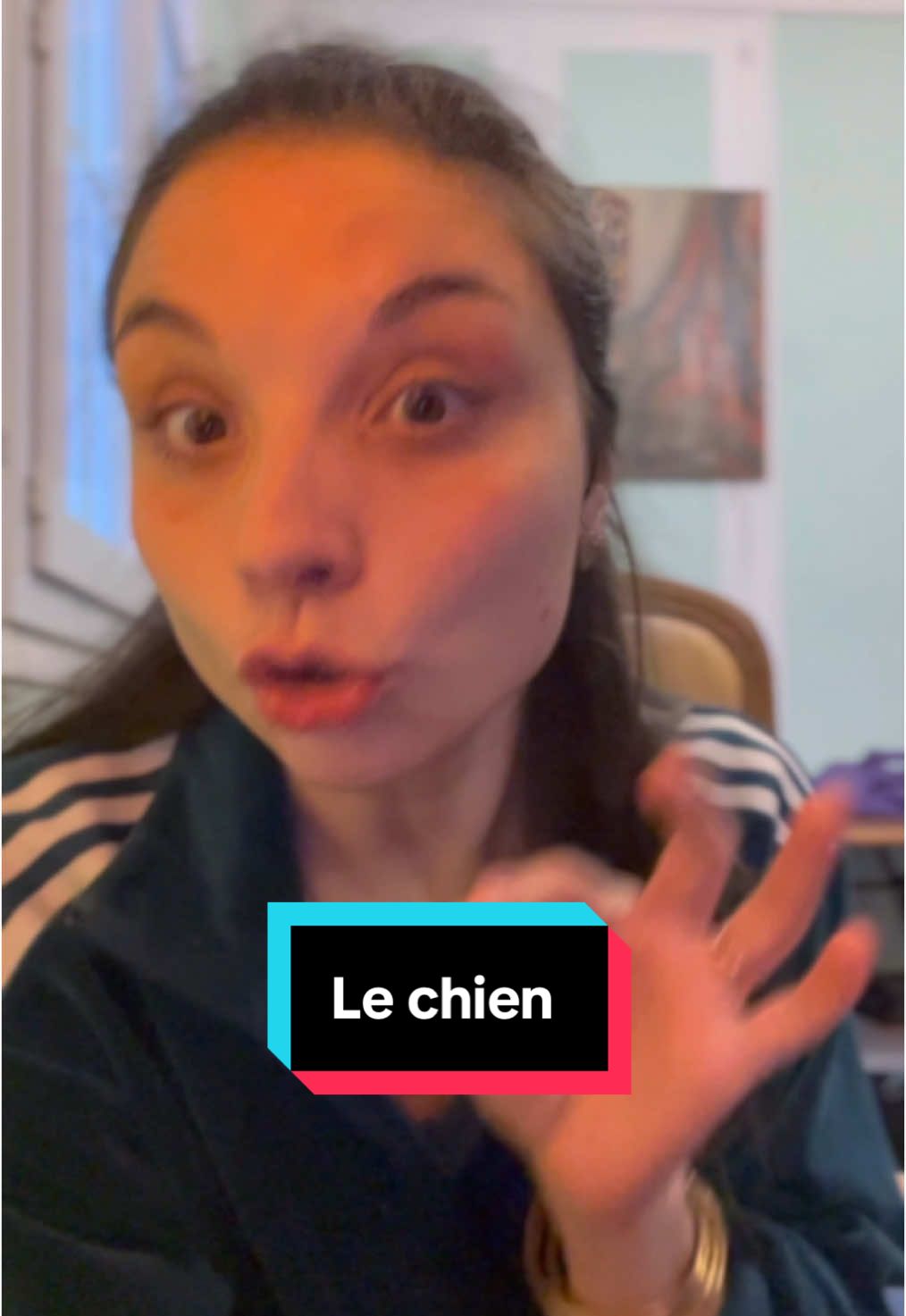 Le chien❤️ #humour #sketch #pourtoi #foryoupage❤️❤️ #chien 