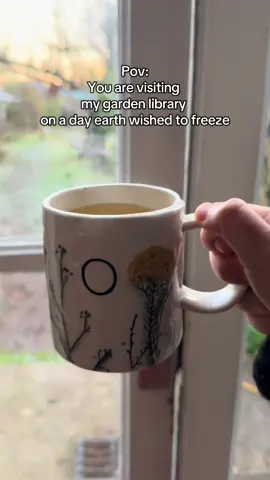 It’s so cold! Too cold to hang out in the garden library. I wore a jumper and the ducks weren’t impressed either 🧡