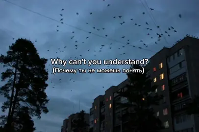 Toxi$ - November #song #music #reisllj #lyrics #foryou #песня #переводпесни 