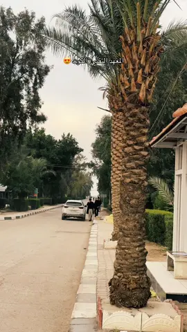 #creatorsearchinsights  #المعهد_التقني_الكوت #سجاد_جواد 