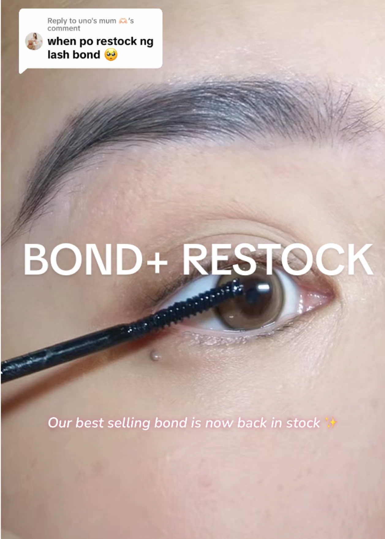 Replying to @uno's mum 🫶🏻  The most awaited restock is here! #lalalash #clusterlashes #diylashes #lalalashbond 