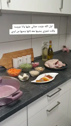 مين بده طريقة التقديم #em_amir89 #اوزي_دجاج 