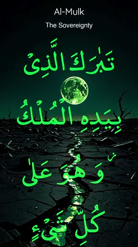Recitation Of Quran Surah Al-Mulk 💫 🎧 #quran #quran_alkarim #fyp #fypシ #usa #viral_video #foryoupage #1millionaudition #growmyaccount #unfrezzmyaccount 