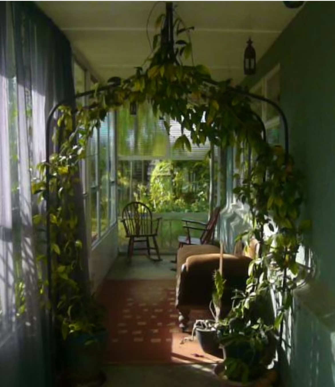 for my sister ali. clips are from our grandads old house, as he passed away today. shout out bill for having the coolest house and garden that we grew up near. lots of black berries and feijoas, and lots of love 🇳🇿🪴🌹🥐🍫🧚🏻🥝🃏💌