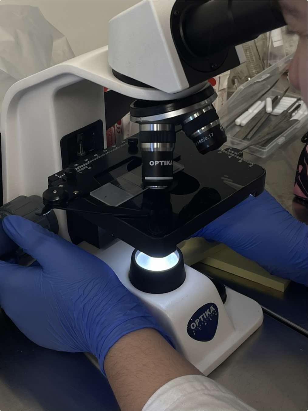 view if you like minimoys 🔬 ig: krazybio  #microbio #microbiologie #microbiology #microbiologylab #microbiologystudents #microbiologie🦠🔬 #microscope #microscopy #minimoys #scienceexperiments #student #aestheticvideos #biology #labo 