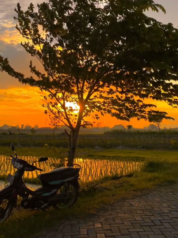 በሰው ላይ አትተማመን