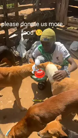 #doglovers #petlovers #savelives #donatemorehelp #creatorsearchinsights #puppieslovers 