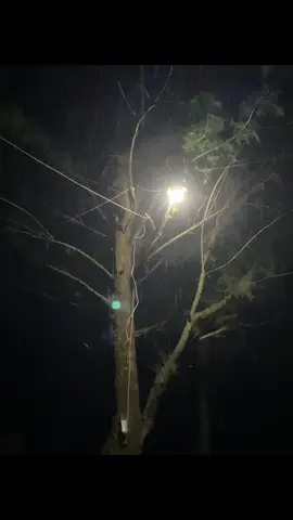 vibes 2022 😌 #galaubrutal 