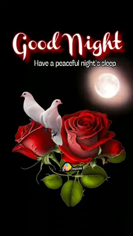 #goodnighteveryone#🖤🖤🖤 #tamillovesong #🎼❤️🎼❤️🎼❤️  #90stamilsong #spbalasubramaniam  #sjanaki #tamilhits #💫♥️🕊 