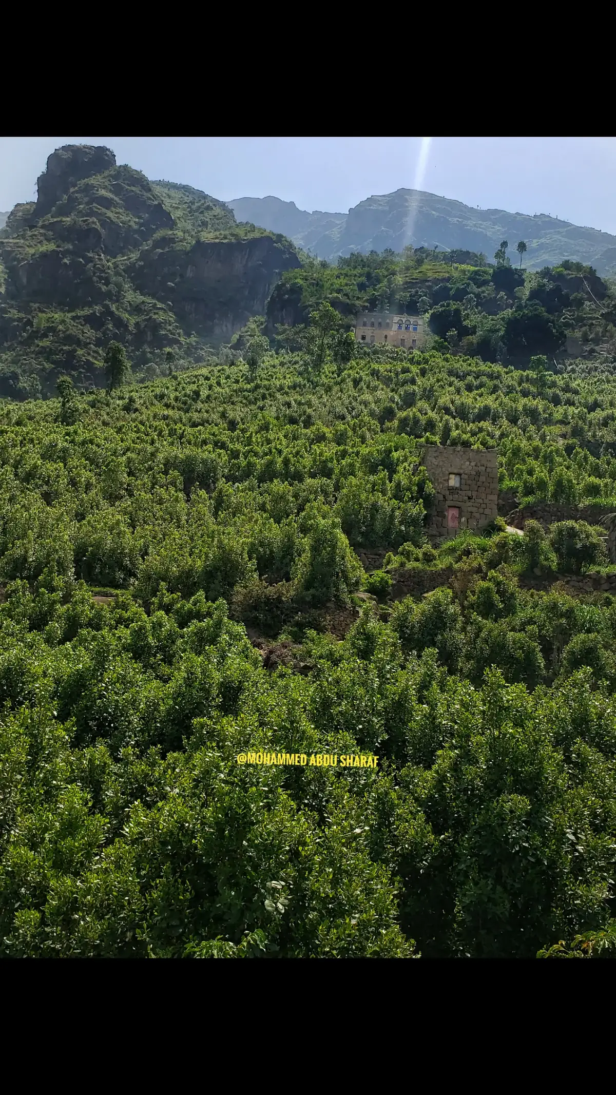 خانك الدهر ياسيد الحمام #بني_مكار #ملحان #المحويت #fyp #foryou #viral 