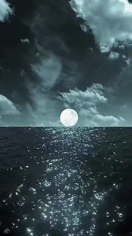 استراحة نفسية #اكسبلور 