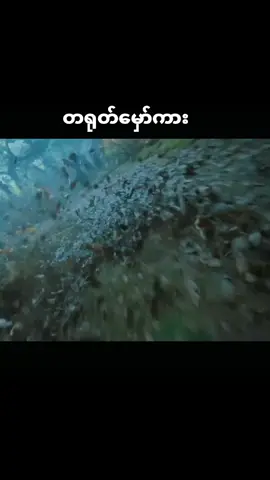 တရုတ်မှော်ကား #CELEENTMOVIES #foryou 