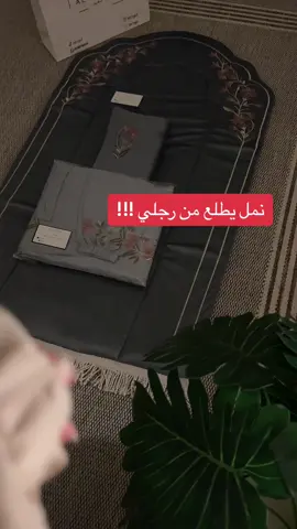 تحصصنوو بنوتات🥹