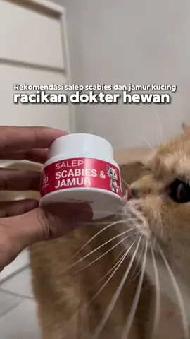 Salep scabies & jamur novamos @Novamos Pusat #obatjamurkucing #jamurkucing #novamospetcare #fyp 