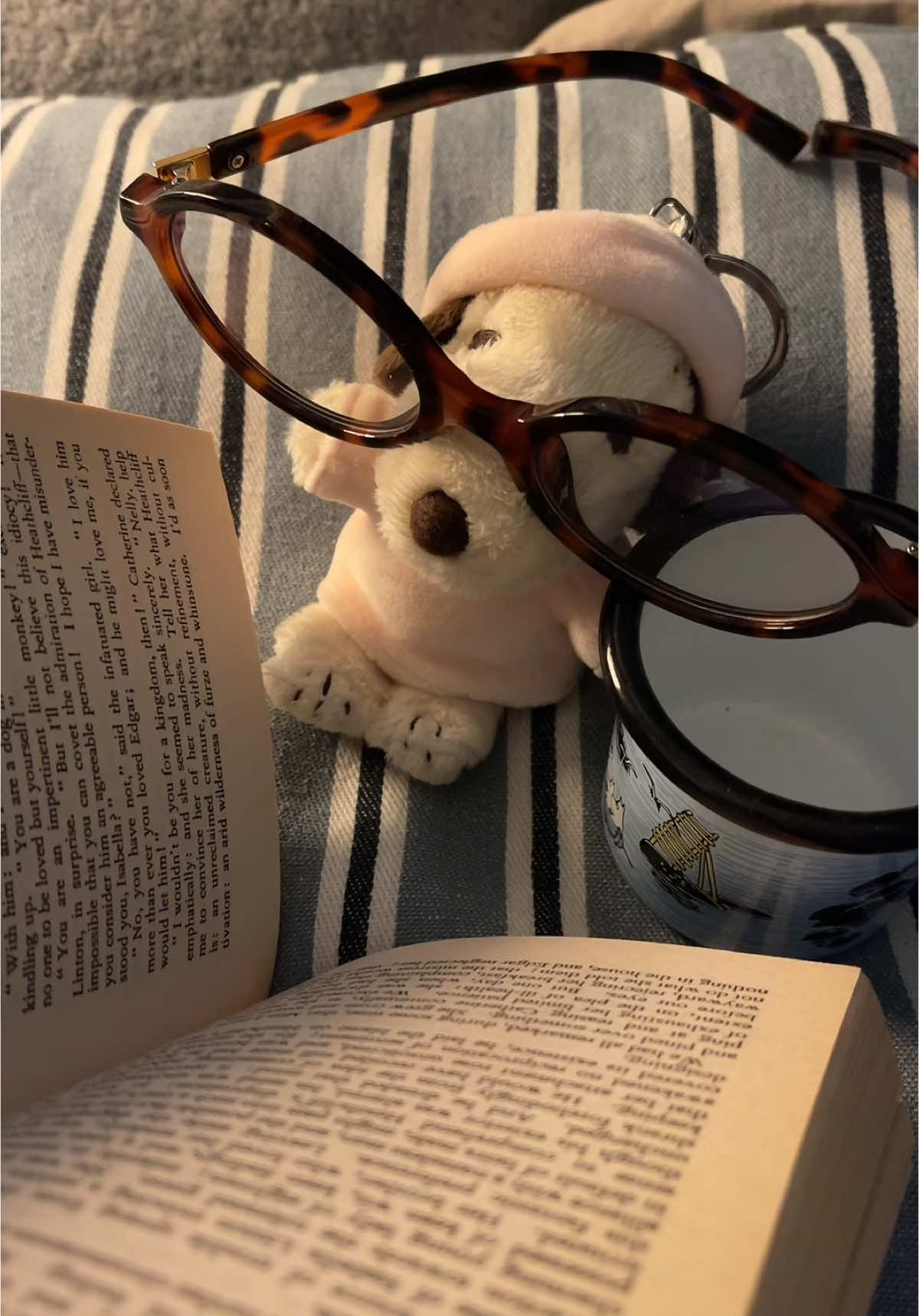 snoopy🙄🫶 #snoopy #aesthetic #fyp #foryou #peanuts #charliebrown #snoopyplush #snoopyplushie #jellycat #funny 