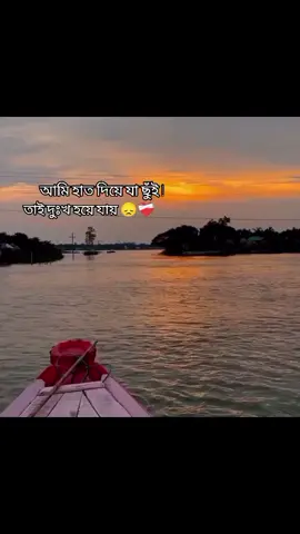 আমি হাত দিয়ে যা ছুঁই 😞❤️‍🩹 #foryou @TikTok Bangladesh @TikTok 