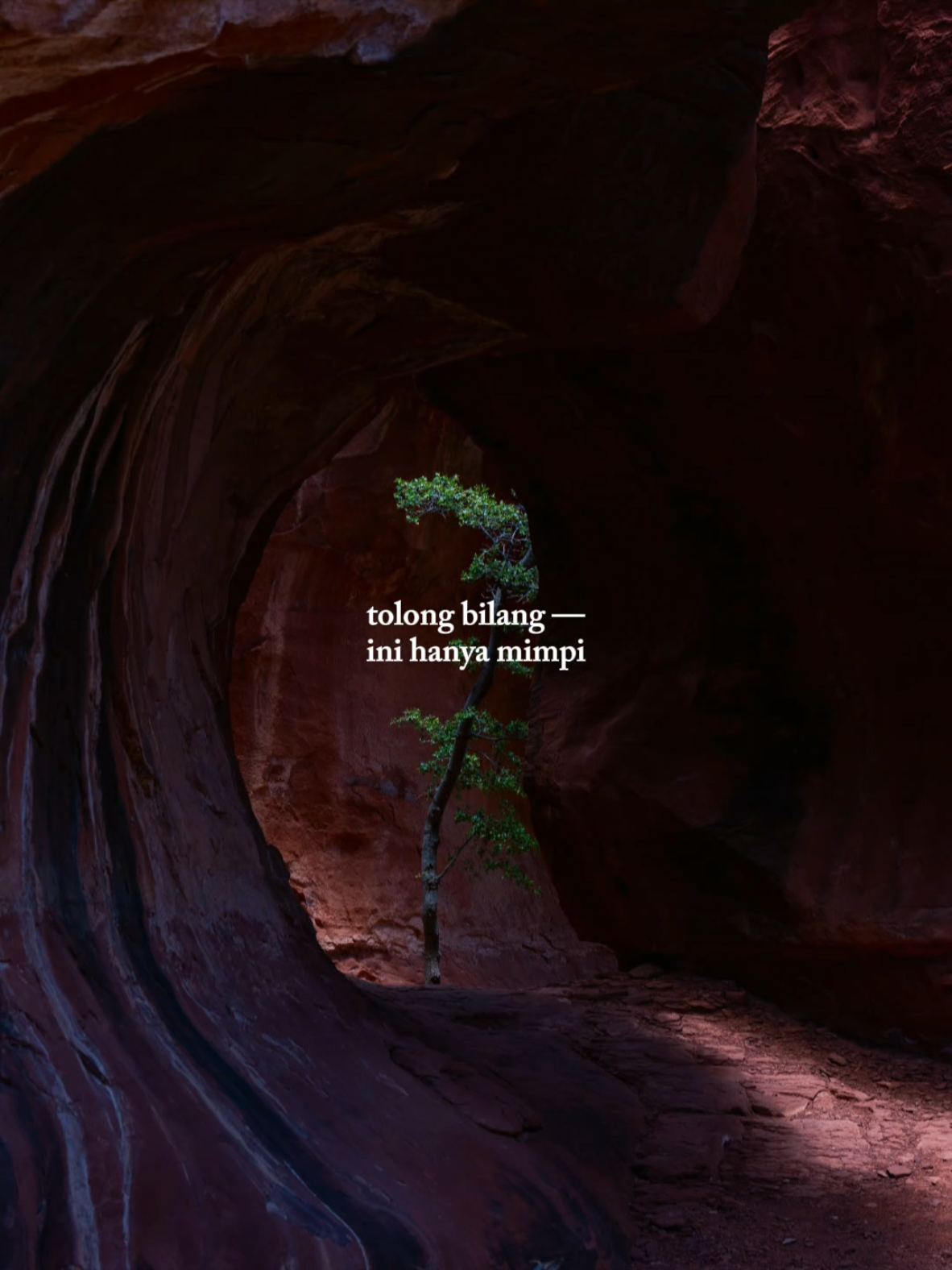 #gheaindrawari #setengahmati #templatecapcut #fypシ #CapCut 