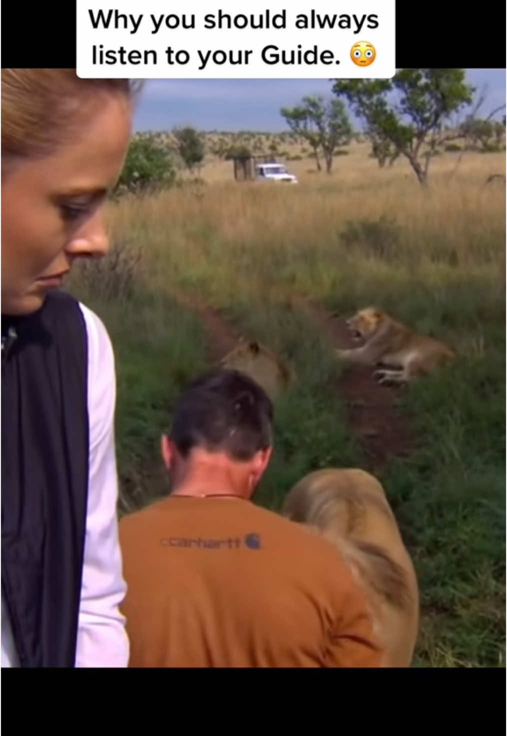 #africanwildlife #nature #wildlife #safari #gamedrive #lions #lion 