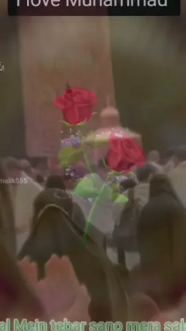 CONTACT PAKISTAN CITY MULTAN  I love Muhammad I love Muhammad @Abdullah Imtiaz 