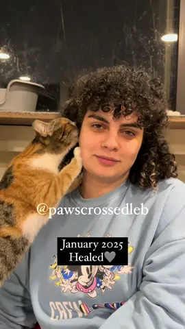 🌟 Meet Noah: A True Warrior 🌟 When Noah was rescued at less than 3 months old, her little body had already endured so much. She had an extreme hernia—none of her organs were in their proper place, spilling outside her fragile frame. We don’t know for sure if this was the result of a terrible accident or abuse, but the damage told a heartbreaking story. Despite everything, Noah has shown us every single day that she’s a fighter. She’s goofy, loving, and absolutely full of life. She’s taught us the true meaning of resilience. We gave her everything we could—multiple surgeries, countless tests, vaccinations, and unconditional love. And now, Noah is ready for a home. ✨ Noah is fully vaccinated, spayed, and perfect in every way. However, due to a bacterial infection she developed as a kitten, her respiratory system is sensitive, and she needs a dust-free home. Other than that, she’s just waiting for her chance to love and be loved. 💛 If Noah’s story touches your heart, you can help! Sponsor Noah for $50 a month or support one of our 70 other rescued cats. Your donations make it possible for us to save more lives like hers. 🐾 Every dollar helps us give these innocent souls a chance to thrive. You can donate through the link in our bio (we prefer Fund-A-Hope for quick access to funds). Together, we can continue to fight for cats and dogs like Noah. Thank you for being part of our mission to save lives and spread love! 💕 #adoptdontshop #fyp #rescue #cat #explore #lebanon #foryou #survivor #kitten #catlover