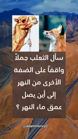 أقوال من عبق التاريخ  سأل الثعلب جملاً واقفاً على الضفة الأخرى من النهر إلى أين يصل عمق ماء النهر ؟ فأجابه الجمل : إلى الركبة !!! فقفز الثعلب في النهر فإذ بالماء يغطيه .. وكاد أن - يغرق ... فسعى..جاهداً حتى أخرج رأسه من الماء وبجهد كبير ومشقة استطاع أن يقف على صخره في النهر ! فإلتقط بعض أنفاسه اللاهثة ثم صرخ في وجه الجمل قائلاً : ألم تقل لي أن ماء النهر يصل إلى الركبة.. قال الجمل نعم ولكن ركبتي أنا وليس ركبتك أنت؟!! الحكمة : حين تستشير أحداً في أمور حياتك فهو يجيبك حسب تجاربه التي نفعته وكثيراً ما تكون حلوله مناسبه له فقط.. وقد لا تناسبك أنت .. فلا تأخذ تجارب غيرك الخاصه له .. حلولاً قطعية لك لأنها قطعاً ستغرقك.. اقوال خواطر اقتباسات قصص تاريخ  #اقتباسات_عبارات_خواطر #خواطر_للعقول_الراقية #اكسبلورexplore❥🕊 #قصص_واقعية #حالات_واتس 