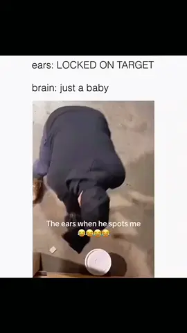 Funny and cute dogs compilation #funnydog #funnypet #cutedog #dogsoftiktok #doglover #dog 