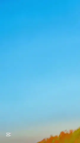 Dear TikTok team plz unfreeze my account viral vedio 🥺💔#poetrylover #ownvoice #unfrezzmyaccount #viewproblem💔🥺🙏🙏 #foryoupage #uktiktok #growmyaccount✅ #everybodysupportme🙏🙏 #foryoupageofficiall @“باغی راجہ>👑🔥 