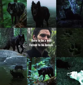 Real wolf till the end🖤🌘 #generalkiriganedit #generalkirigan #aleksandermorozova  #aleksandermorozovaedit #fyp #fy #foryou #allfiction #benbarnes #benbarnestiktok #benbarnesedit #benbarnesedits #darkling #morallygreyhero #darklingedit #enemiestolovers #enemiestoloverstrope #thedarklingedit #thedarkling #fakesituation #shadowandbone #netflixshadowandbone #saveshadowandbone #morallygreymen #shadowandbone3 #theinstitute #allfake #stephenking #netflixsavethedarkling Credits go to proper owners😉. The photos and graphics are not mine, I just edit and post them💕 <All Fiction> Edit was based on fictional content from tv 🩷 @Ben Barnes @Netflix #CapCut 